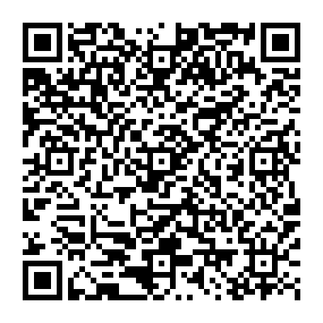 79613328882