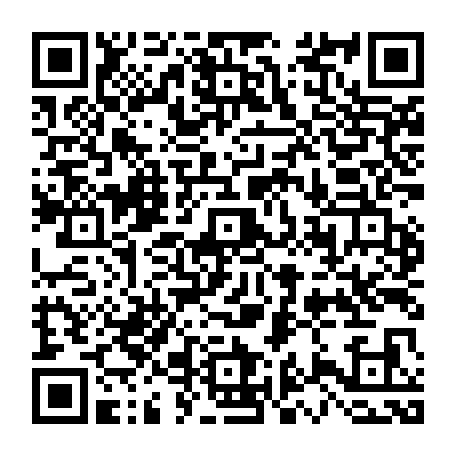 79613328911