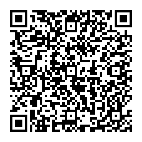 79613329008