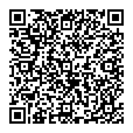 79613329018