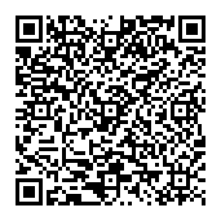 79613329053