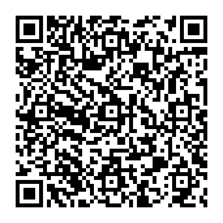 79613329062