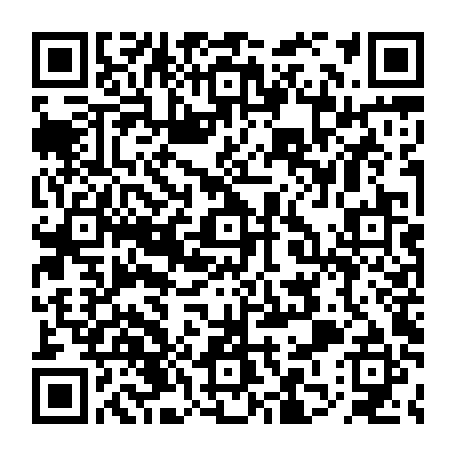 79613329077