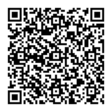 79613329224