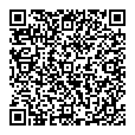 79613329294