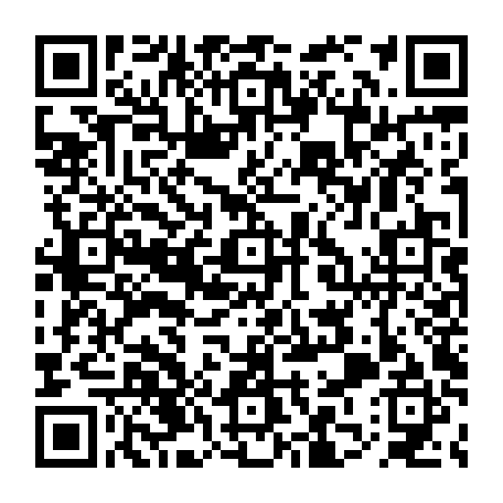 79613329411