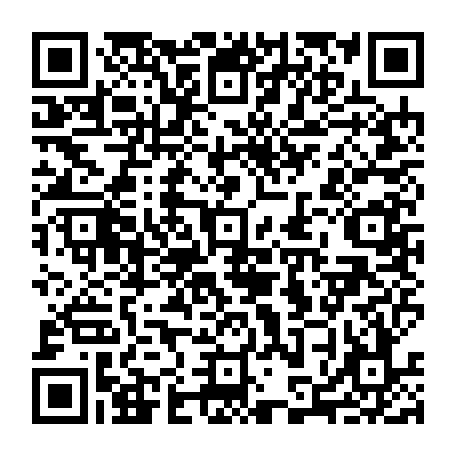 79613329493