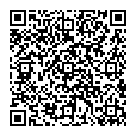 79613382295