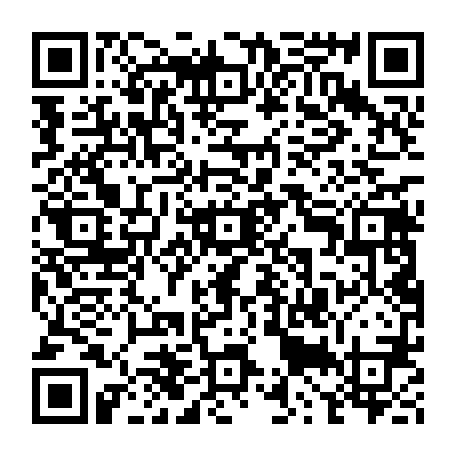 79620650077