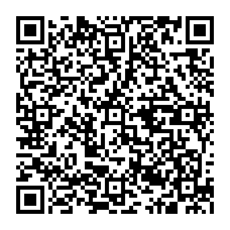 79621520411