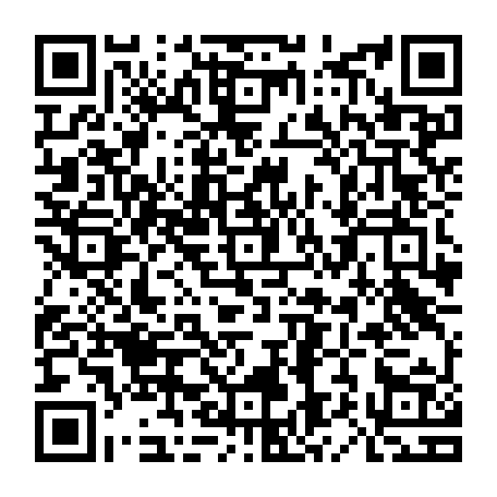 79625840338