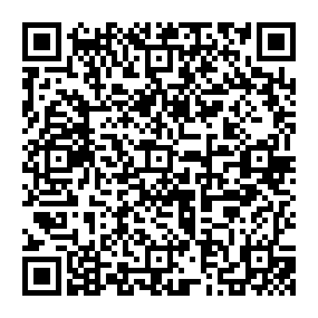 79627732818