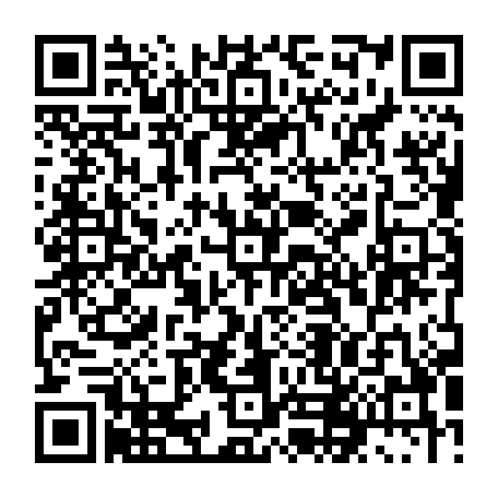 79627733173