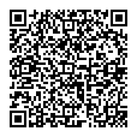79627733383