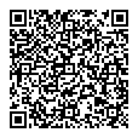 79628229951
