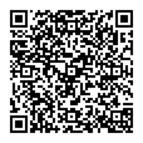 79628904331