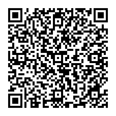 79628904381