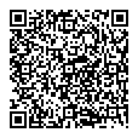 79628904538