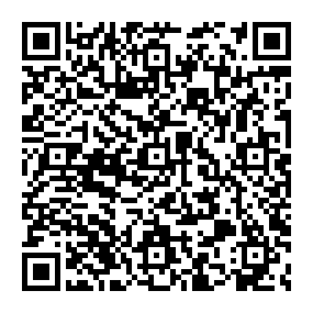 79630011704