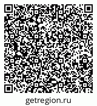 79630018855