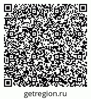 79630031496