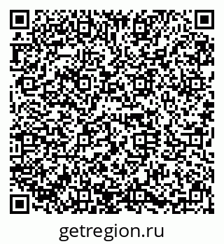 79630033166