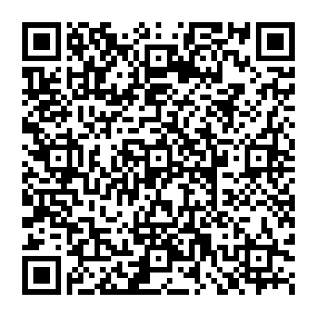 79630309041