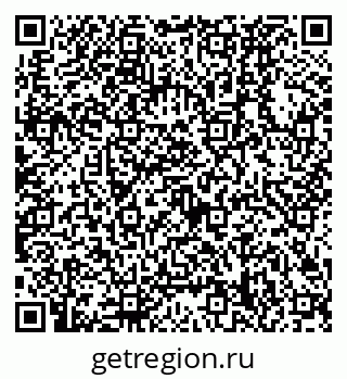 79630328804