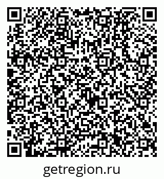 79630331381