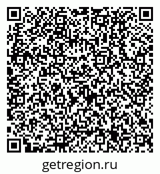 79630335411
