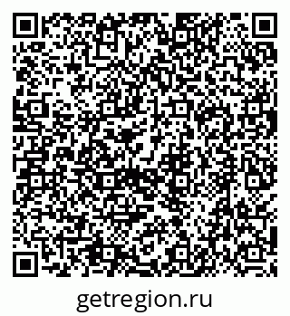 79630491955