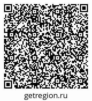 79630500536