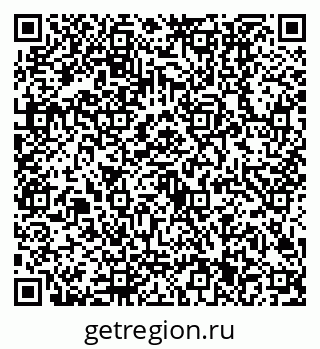 79630501381