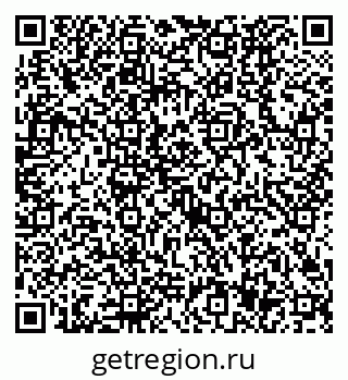 79630527638