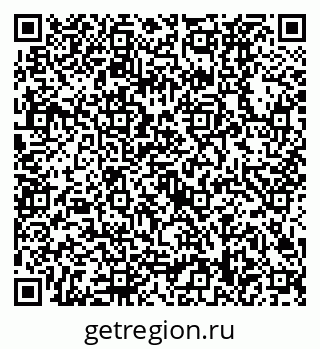 79630528100
