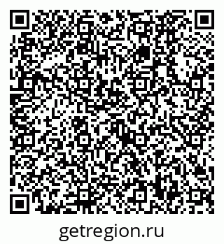 79630528828