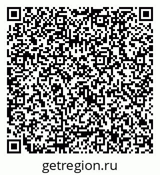 79630537381