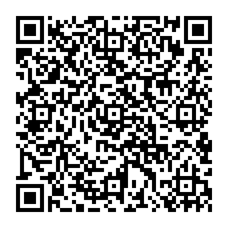 79630558875