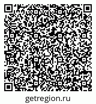 79630560831