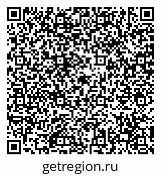 79630561981