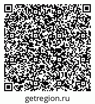 79630565331