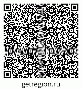 79630565381