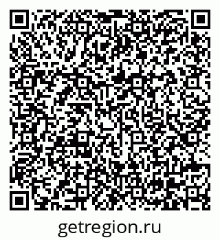 79630565520