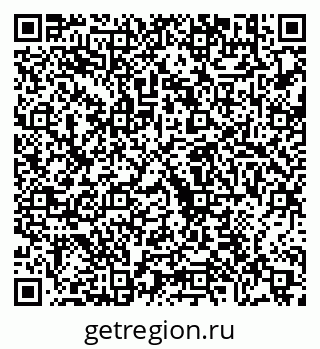 79630568831