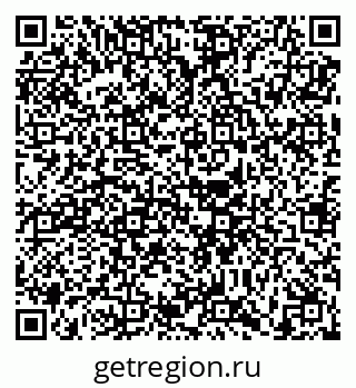 79630599556