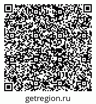 79630599811