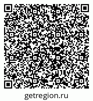 79630600566