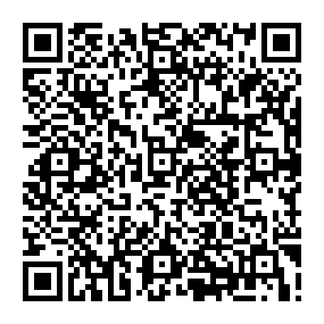 79630671651