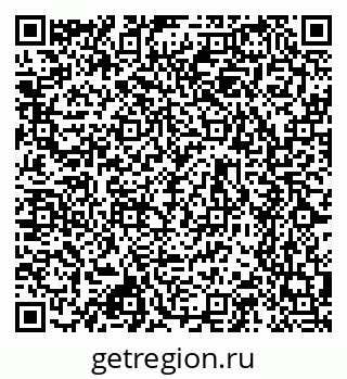 79630761981