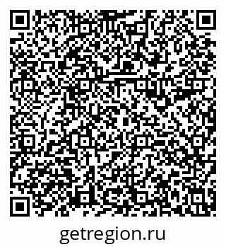 79630995355